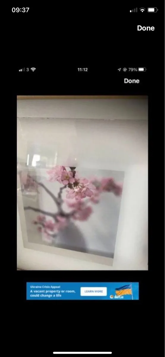 Framed Floral Prints - Image 4