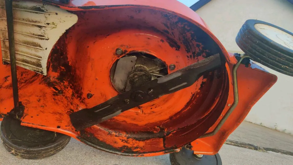 Stihl RM248 lawnmower - Image 3