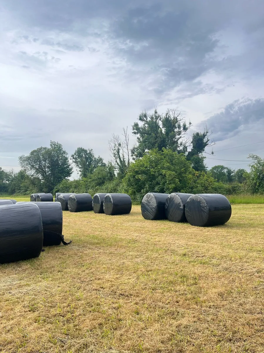 Bales of Silage 2025 - Image 1