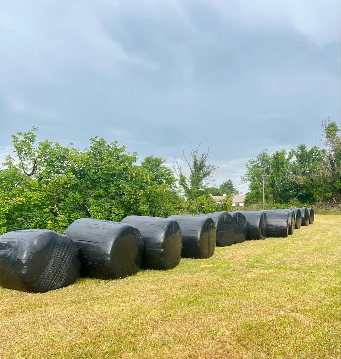 Bales of Silage 2025 - Image 2