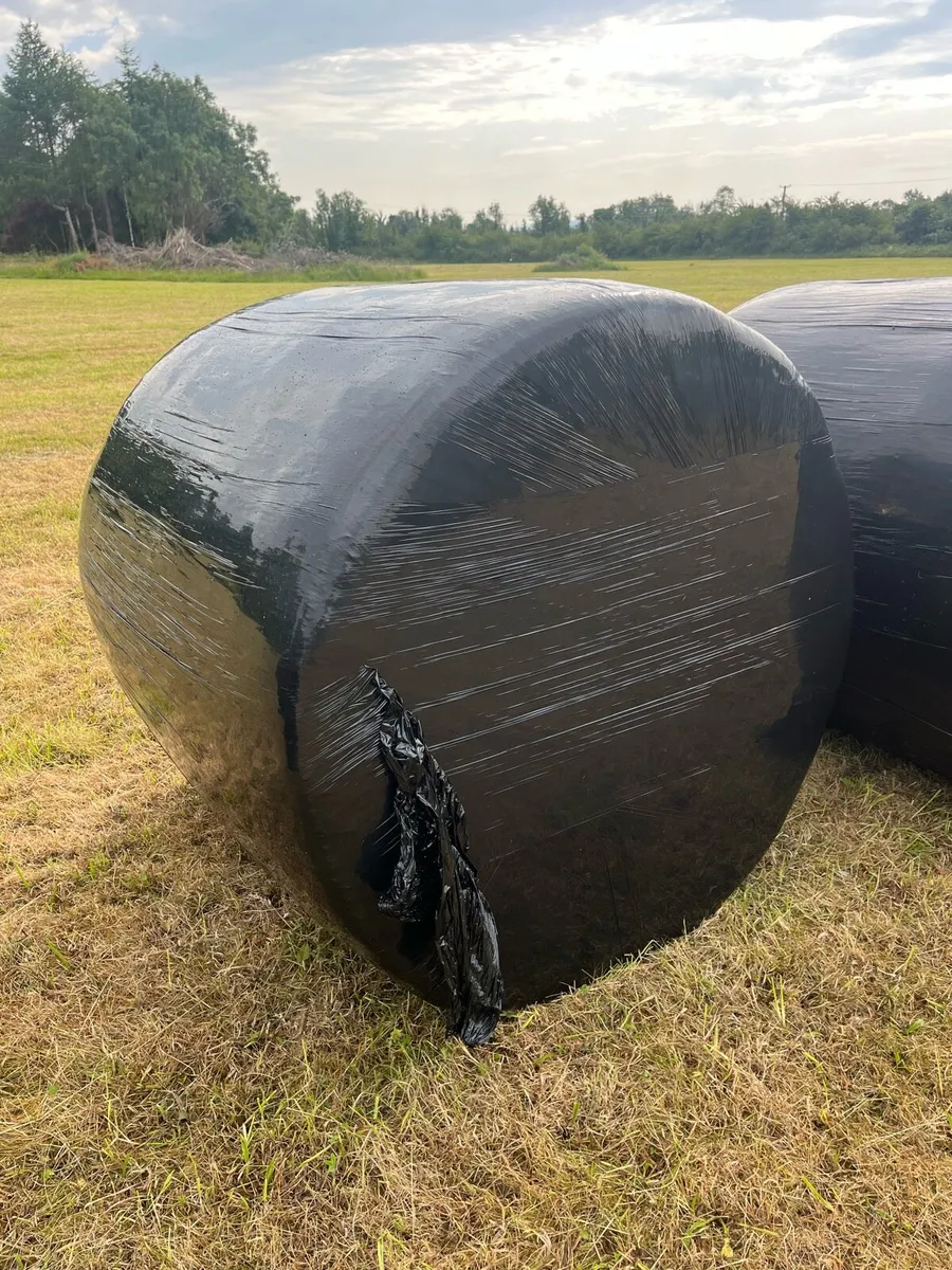 Bales of Silage 2025 - Image 3