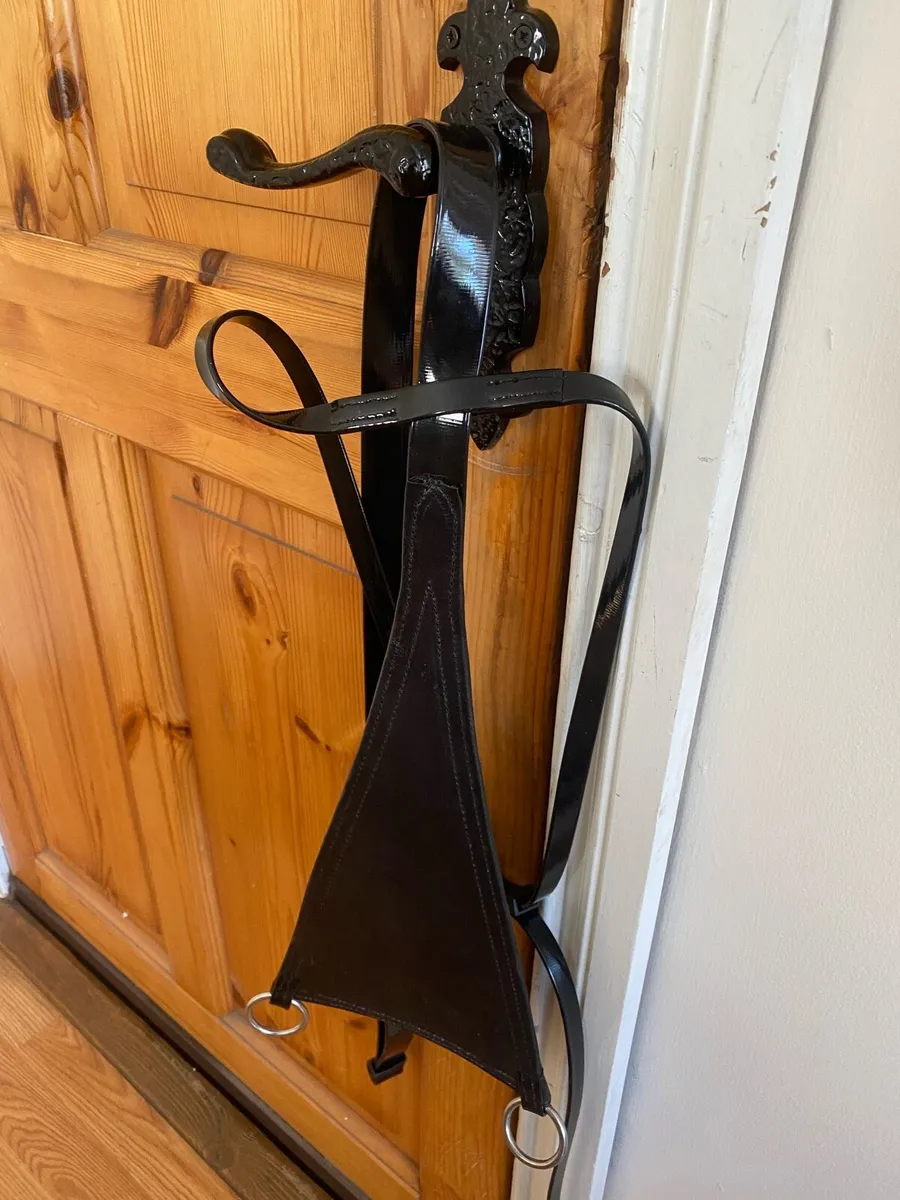 Horse bungees & bib martingales - Image 1