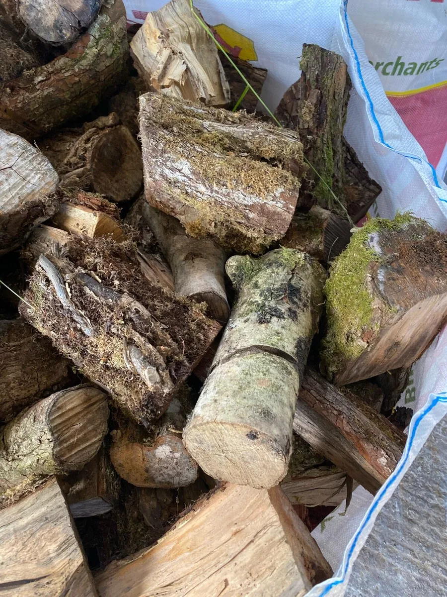 Ash Firewood - Image 3