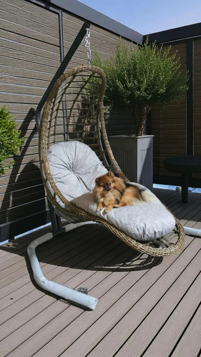 Garden furniture egg chair swing chair wholesale - Image 1