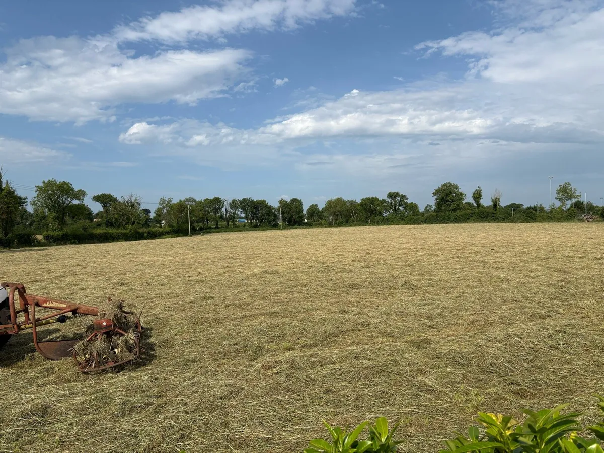 Square Bales of Hay