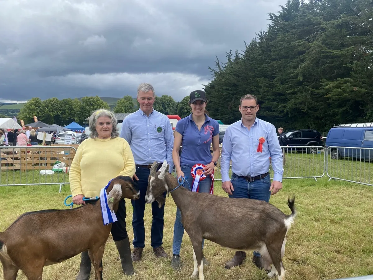 Clonmel Show July 6th - Goat Class Entries open