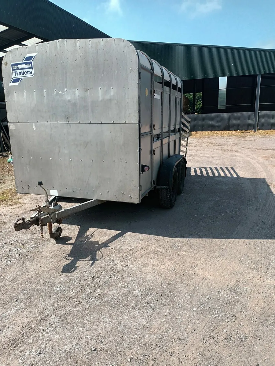 Ifor Williams 10ft x 6ft cattle trailer - Image 2