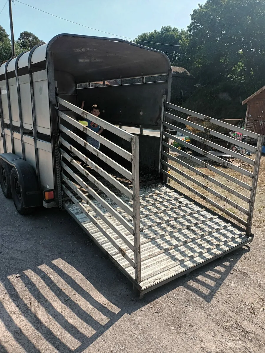 Ifor Williams 10ft x 6ft cattle trailer - Image 4