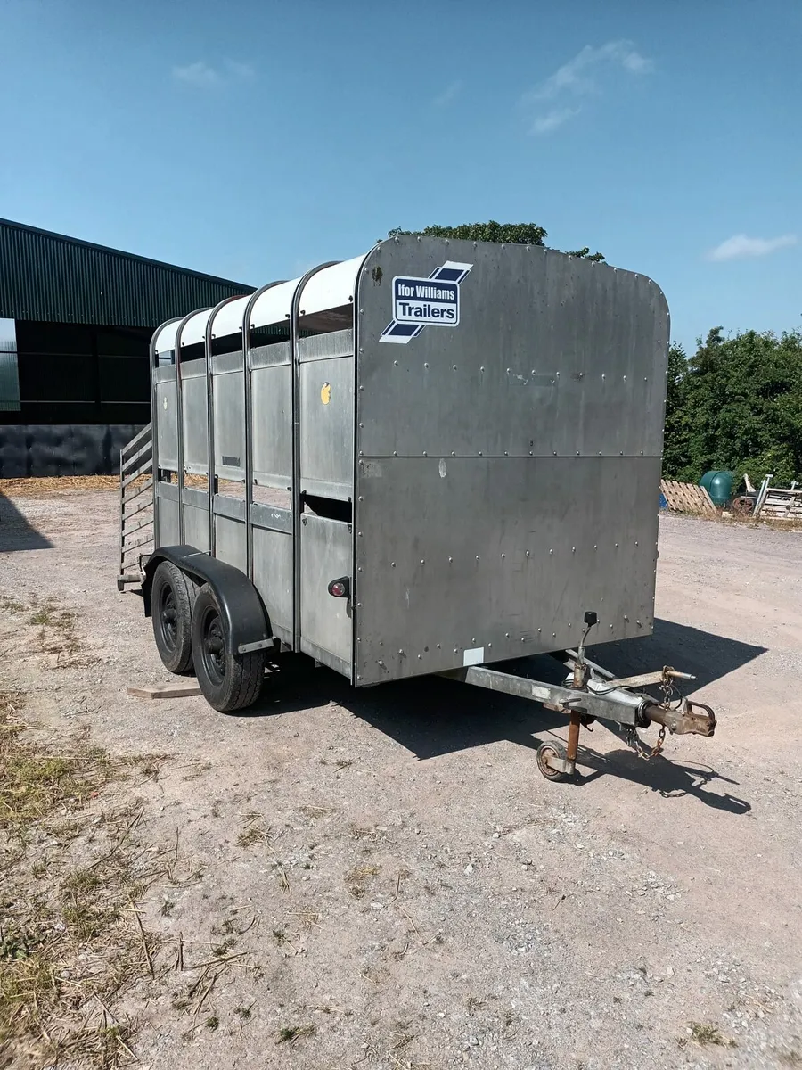 Ifor Williams 10ft x 6ft cattle trailer - Image 1