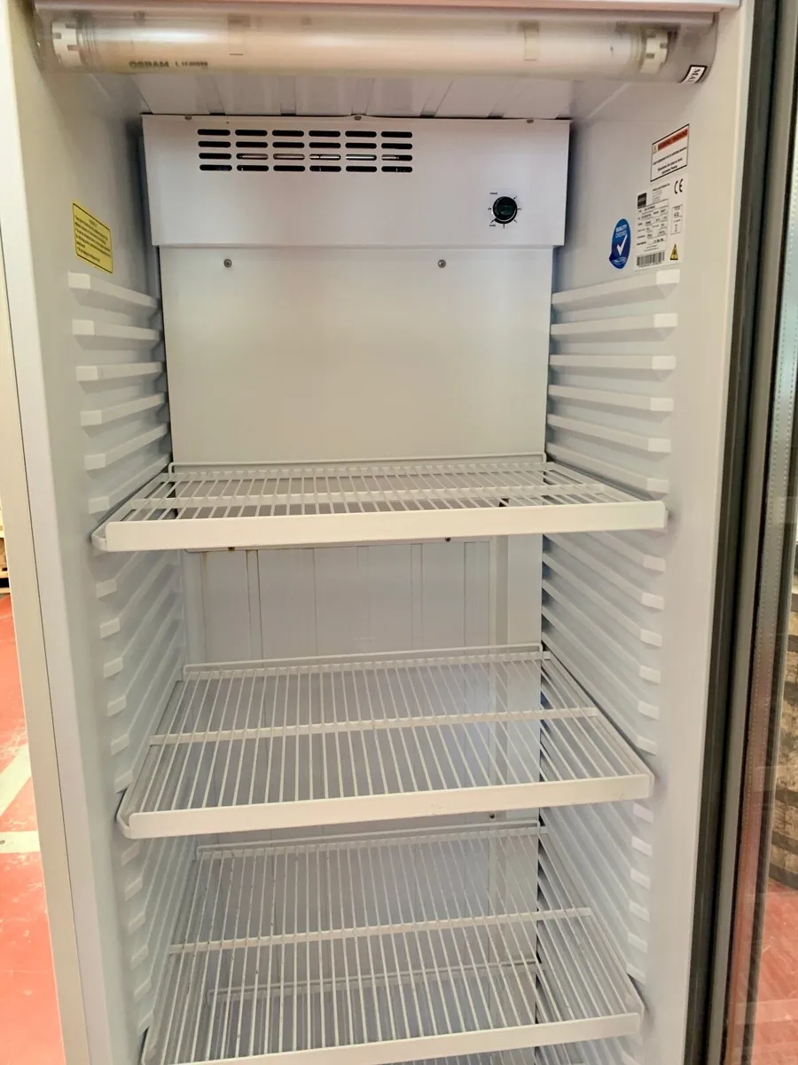 Frigoglass 355L Display Fridge - Image 2