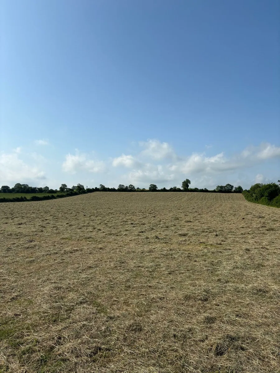 Baled Hay for sale - Image 2