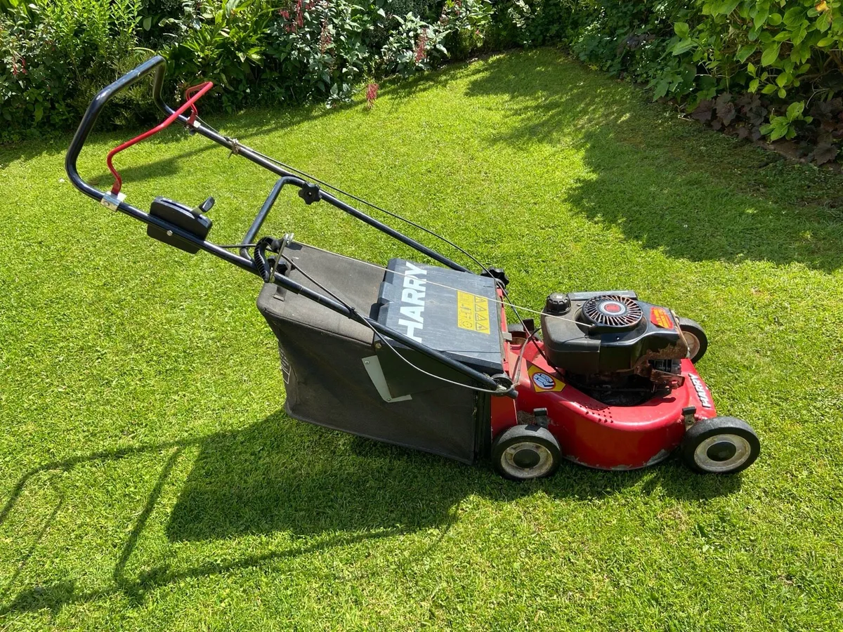 Harry.   Push. Mower - Image 1