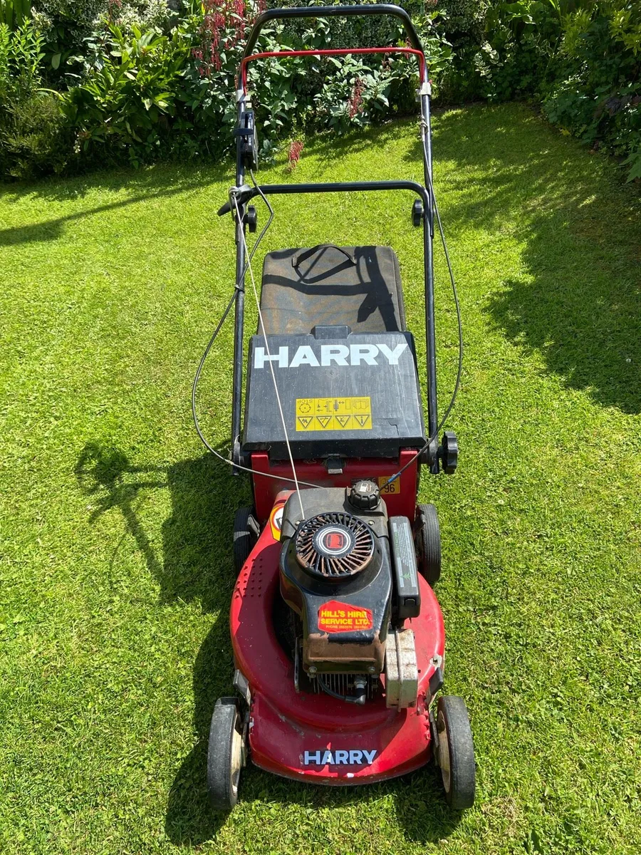 Harry.   Push. Mower - Image 2