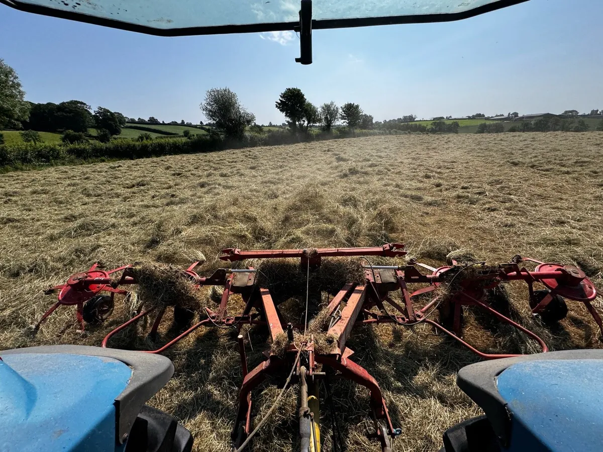Hay animal feed - Image 3