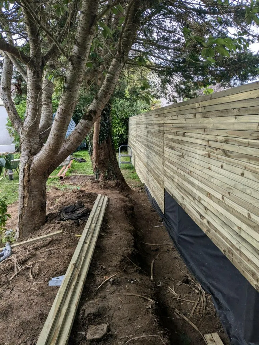 Fencing and decking - Image 2