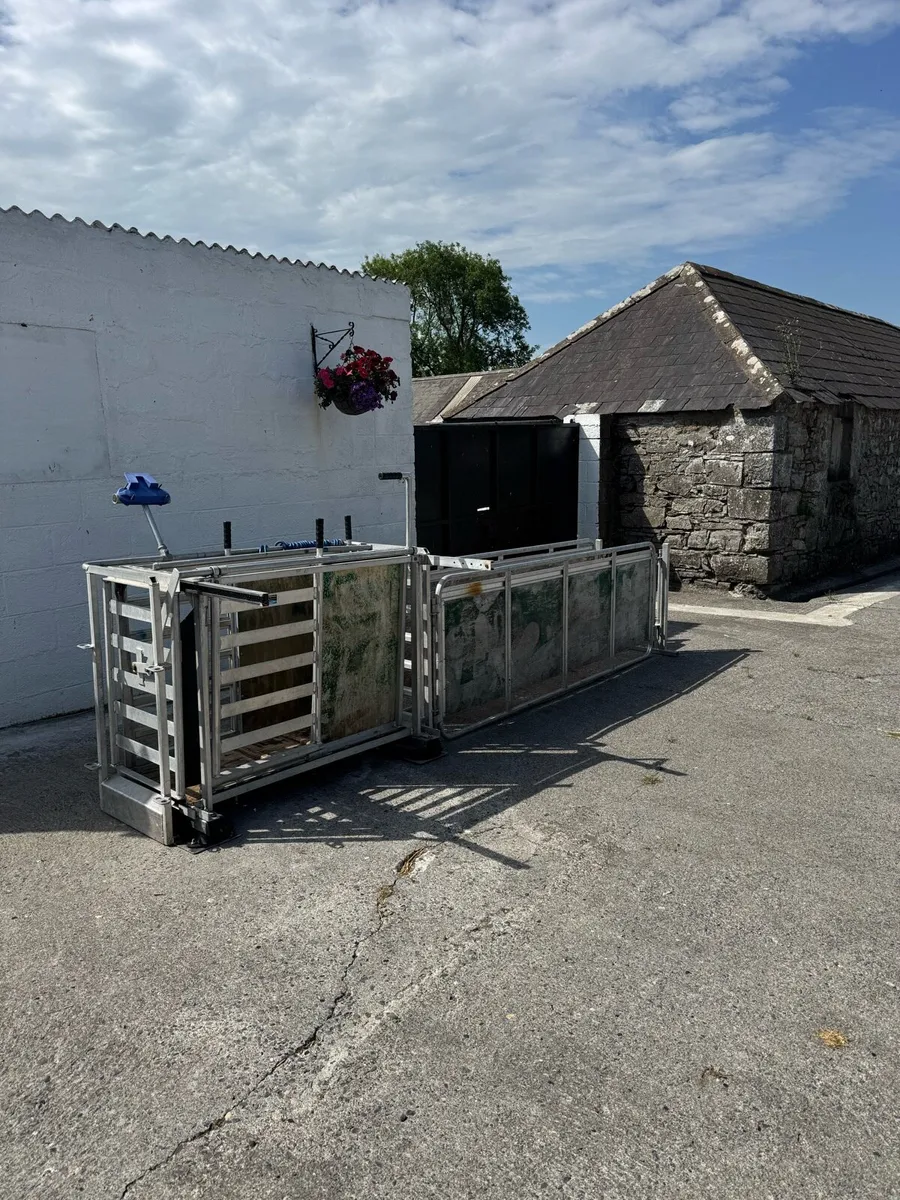 Sheep weighing Scales Prattley - Image 1