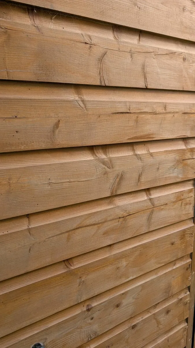 Treated and varnished Shed already dismissed - Image 3