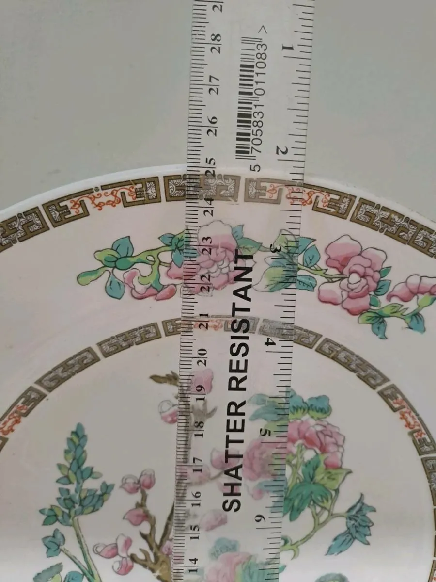 Lord Nelson Indian tree plate - Image 2