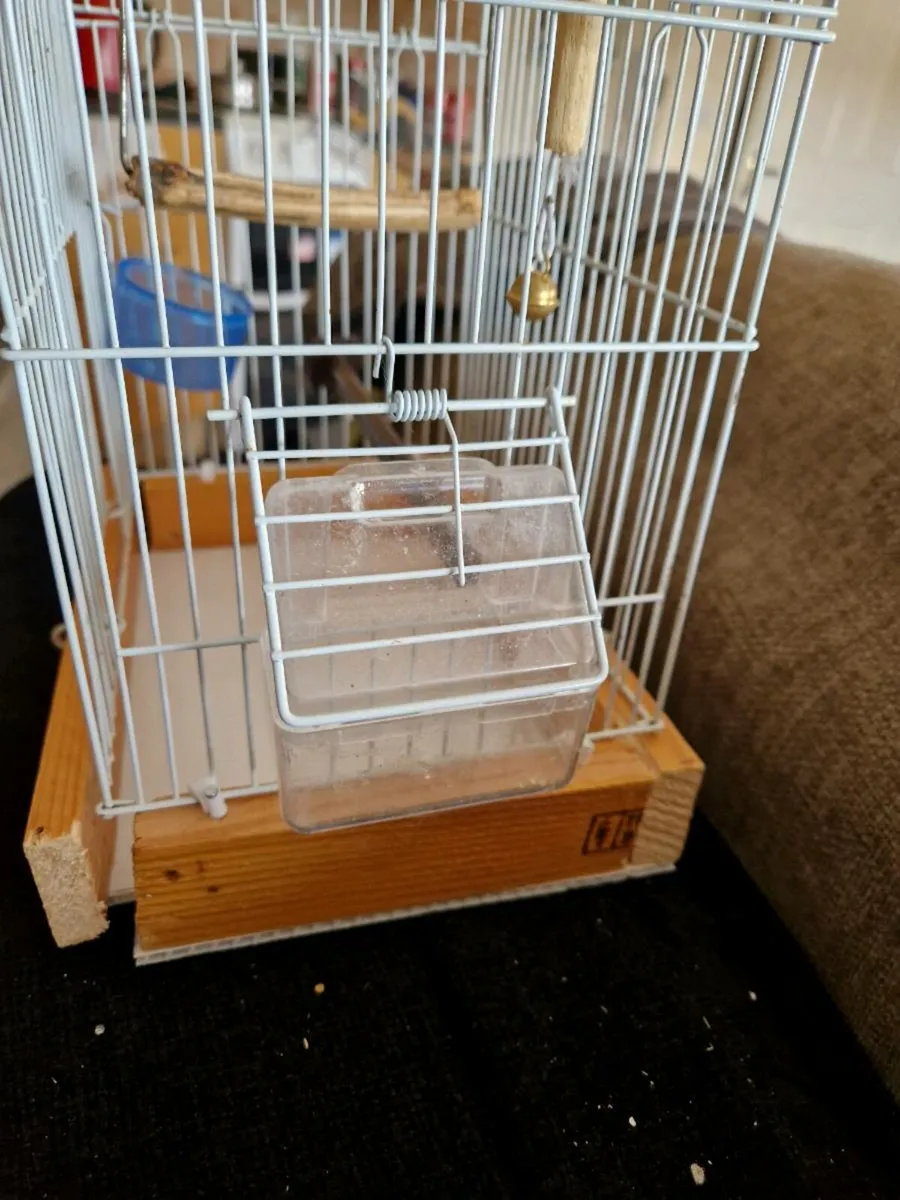 Bird cages - Image 3