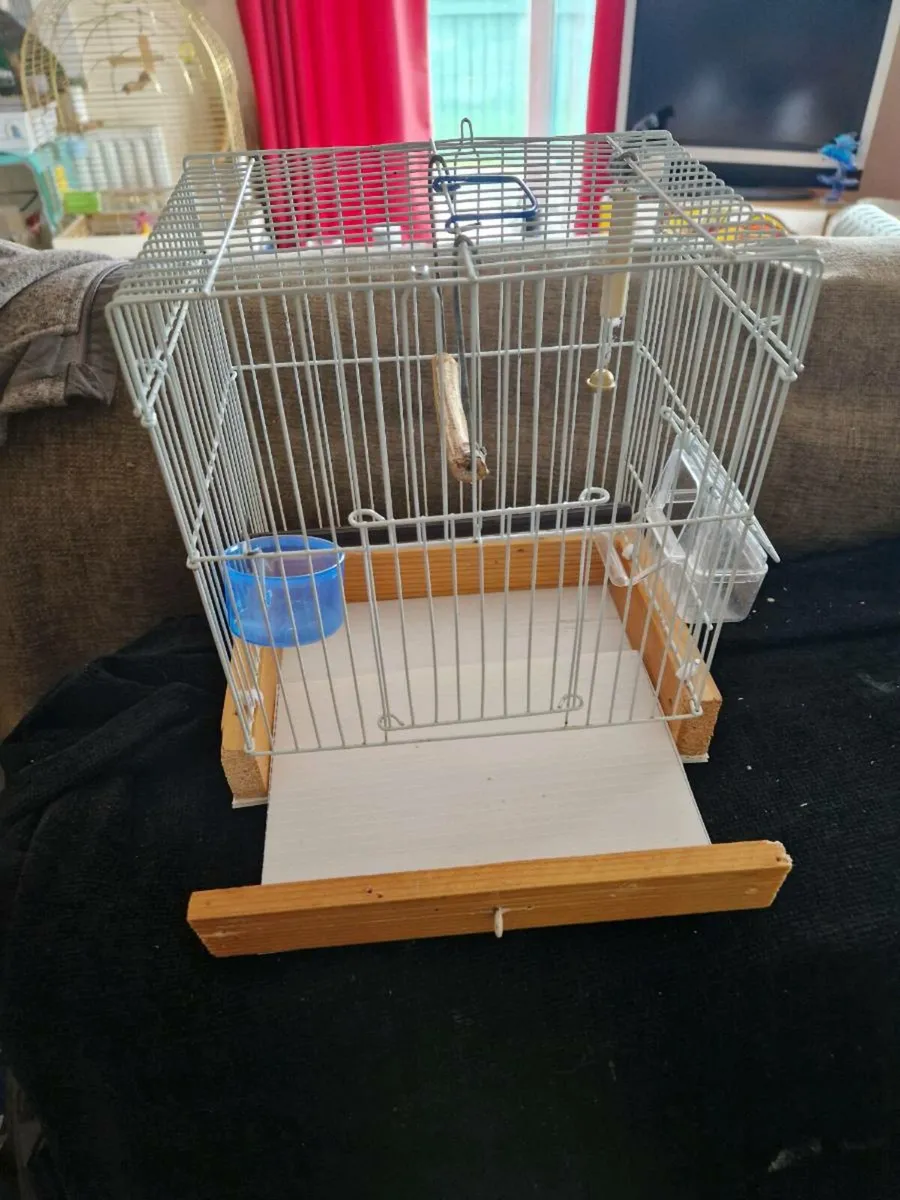 Bird cages - Image 4