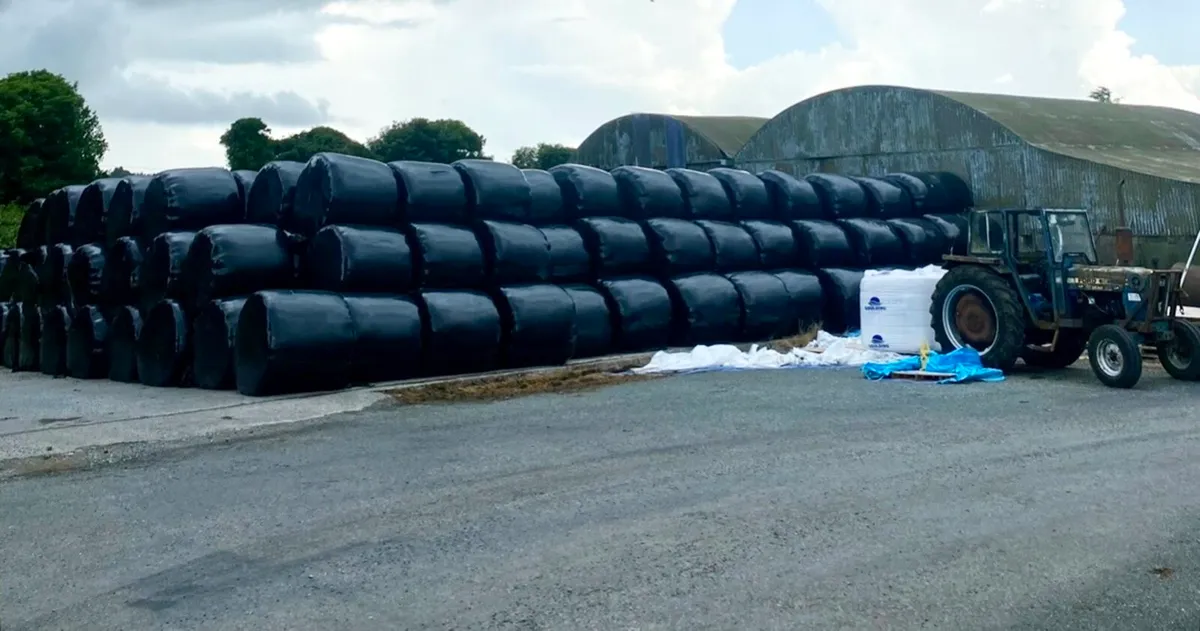 Bales of Haylage - Image 3