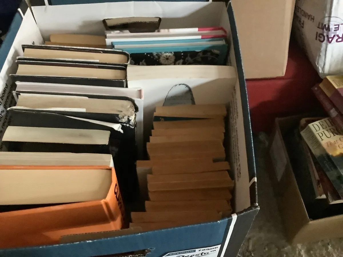 Job lot - Image 2