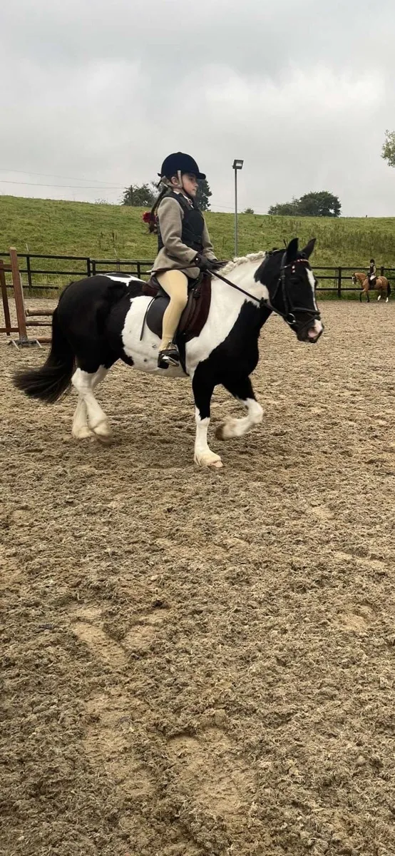 Stunning child’s pony - Image 2