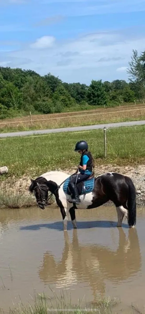 Stunning child’s pony - Image 3