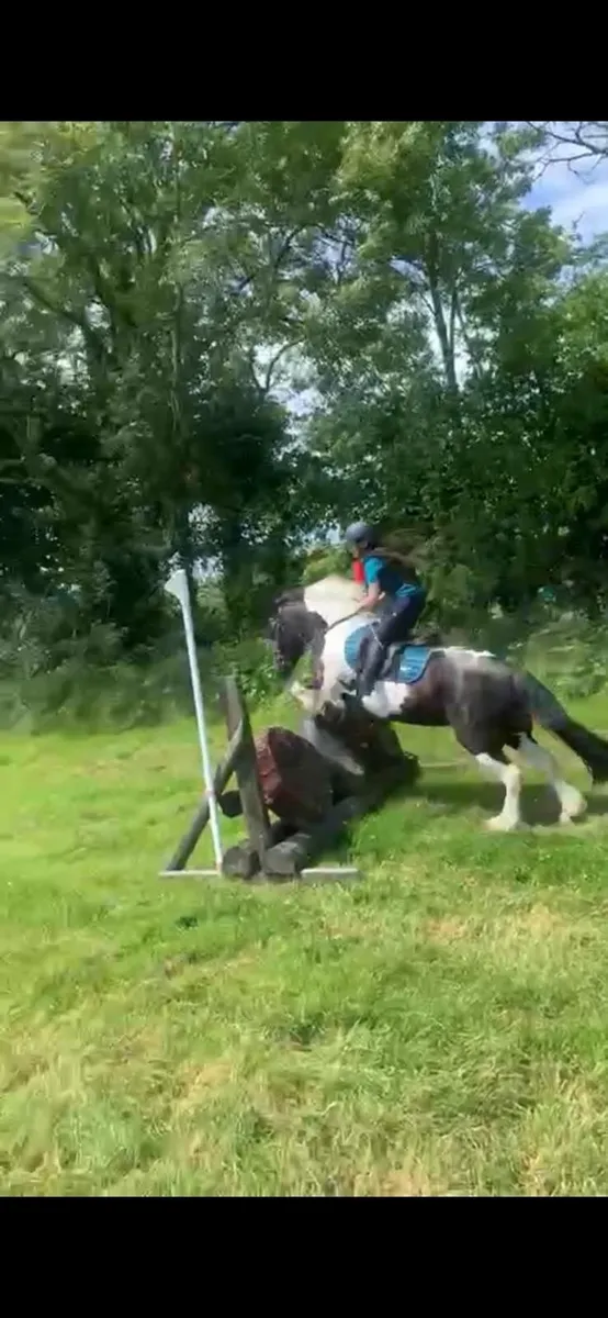 Stunning child’s pony - Image 4
