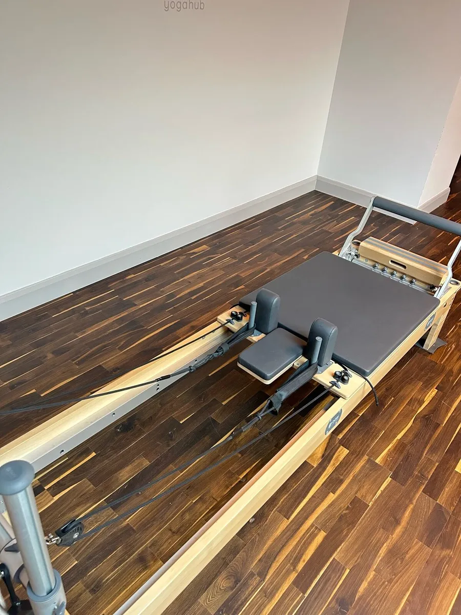 Basi Reformer Machine - Image 3