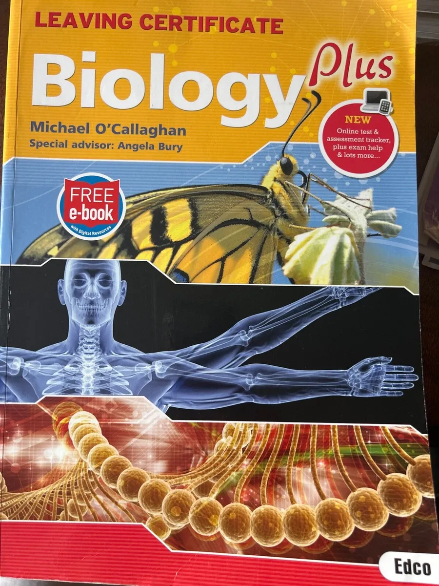 Various school textbooks - Image 3