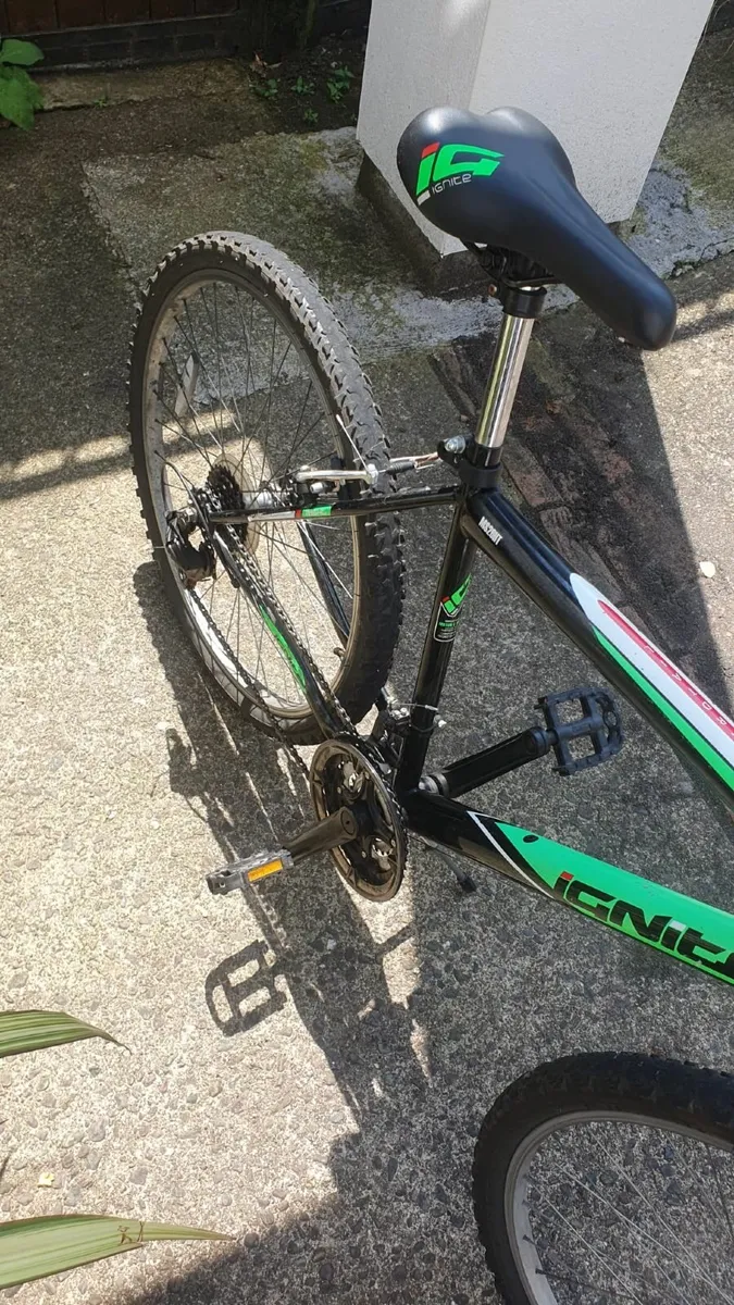 Bike - Image 3