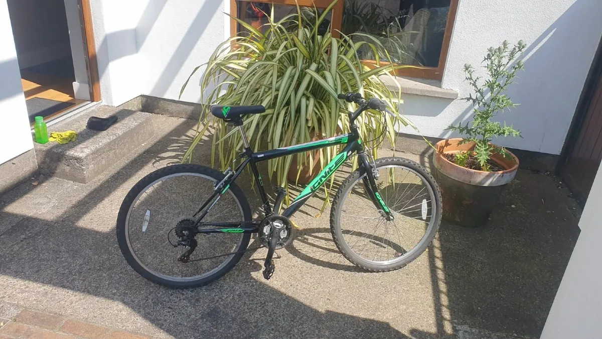Bike - Image 1