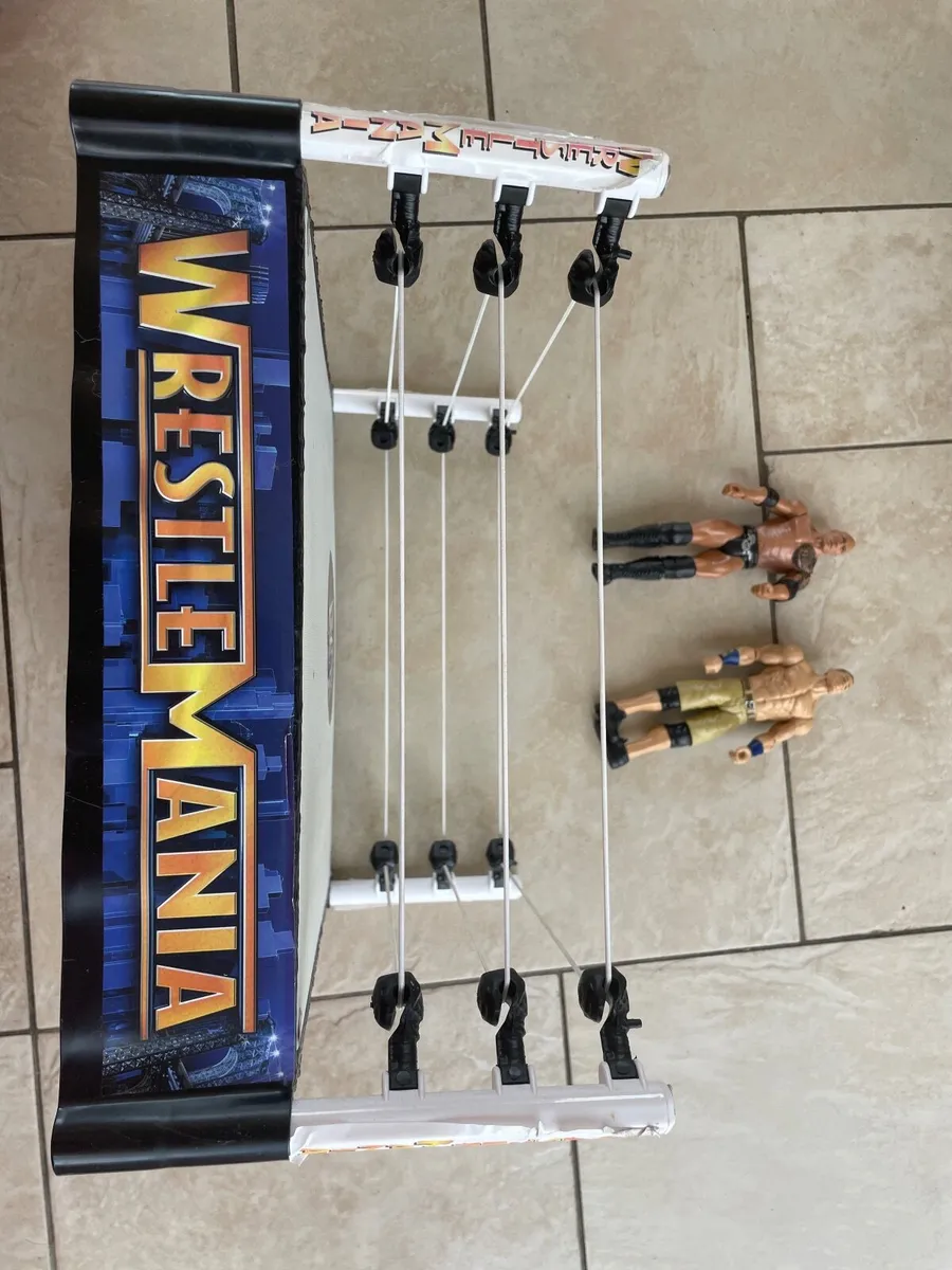Wrestling ring toy - Image 2