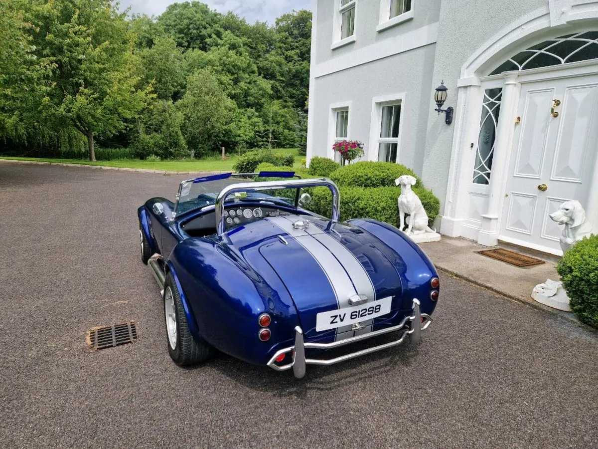 AC Cobra - Image 1