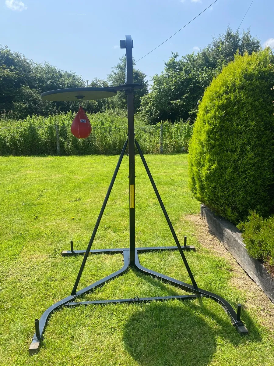Everlast freestanding punching bag frame - Image 1