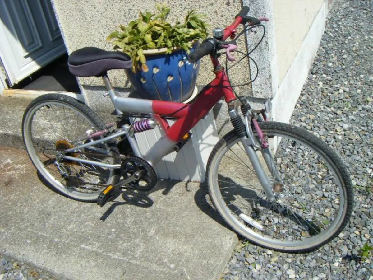Adult/Kids Bike - Image 1