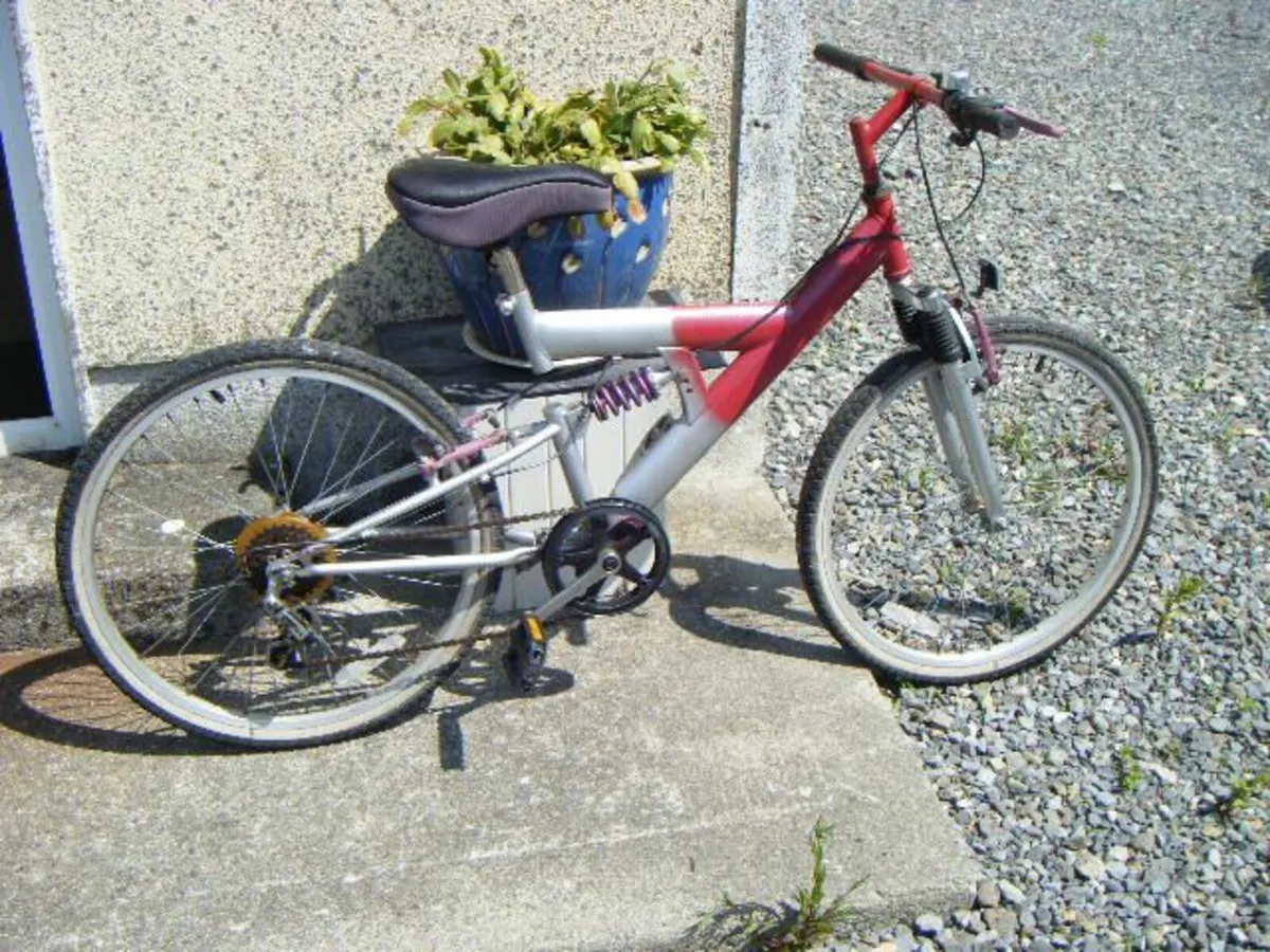 Adult/Kids Bike - Image 2