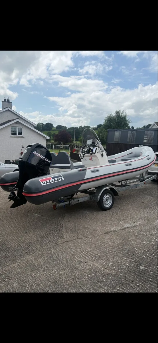 Rib - Image 1