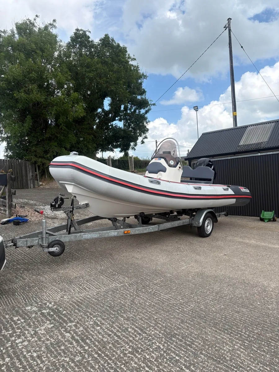 Rib - Image 4