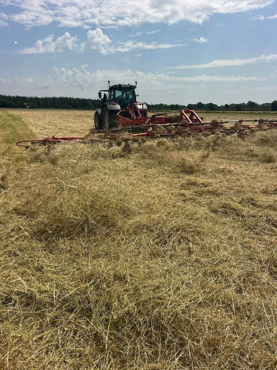 Lely Tedder - Image 2