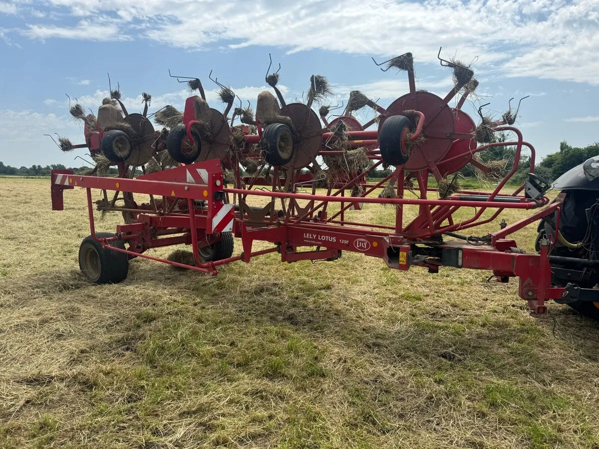 Lely Tedder - Image 4