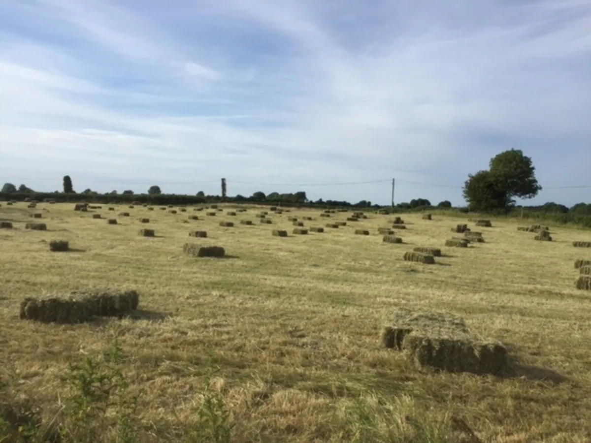 Sq bales of hay been baled today