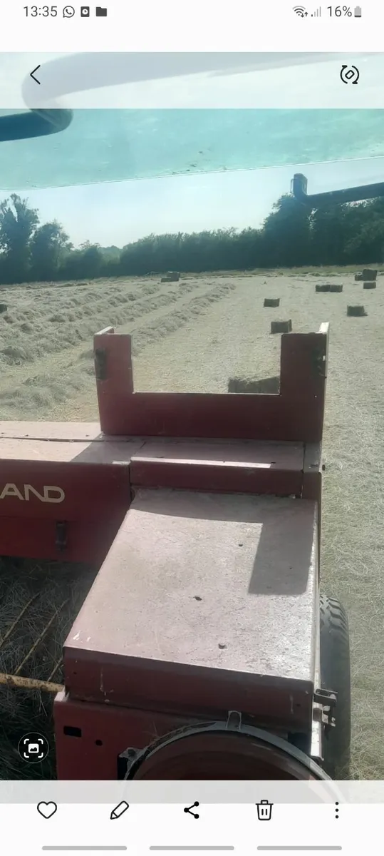 Square bales hay