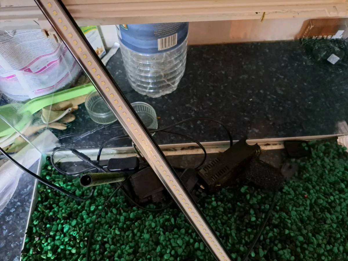 Fish Tank - Image 2