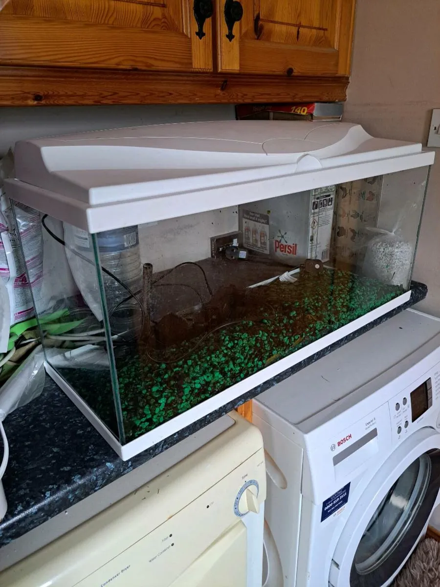 Fish Tank - Image 1