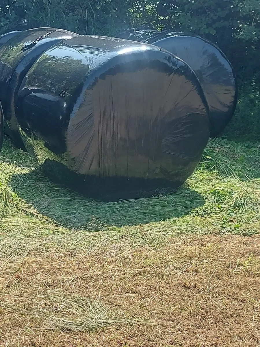 Organic Hay and Silage for sale - Image 3