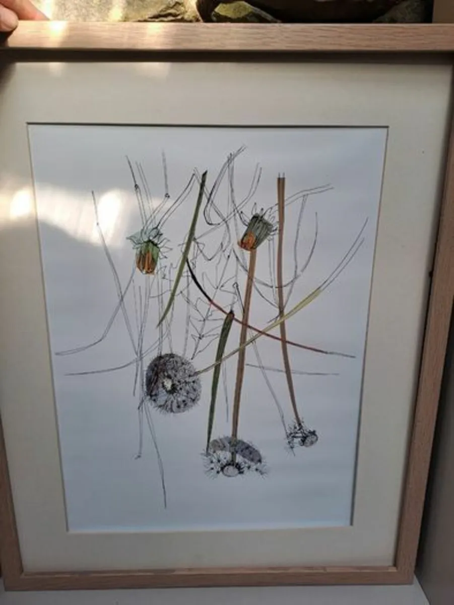 3 flower Frames - Image 2