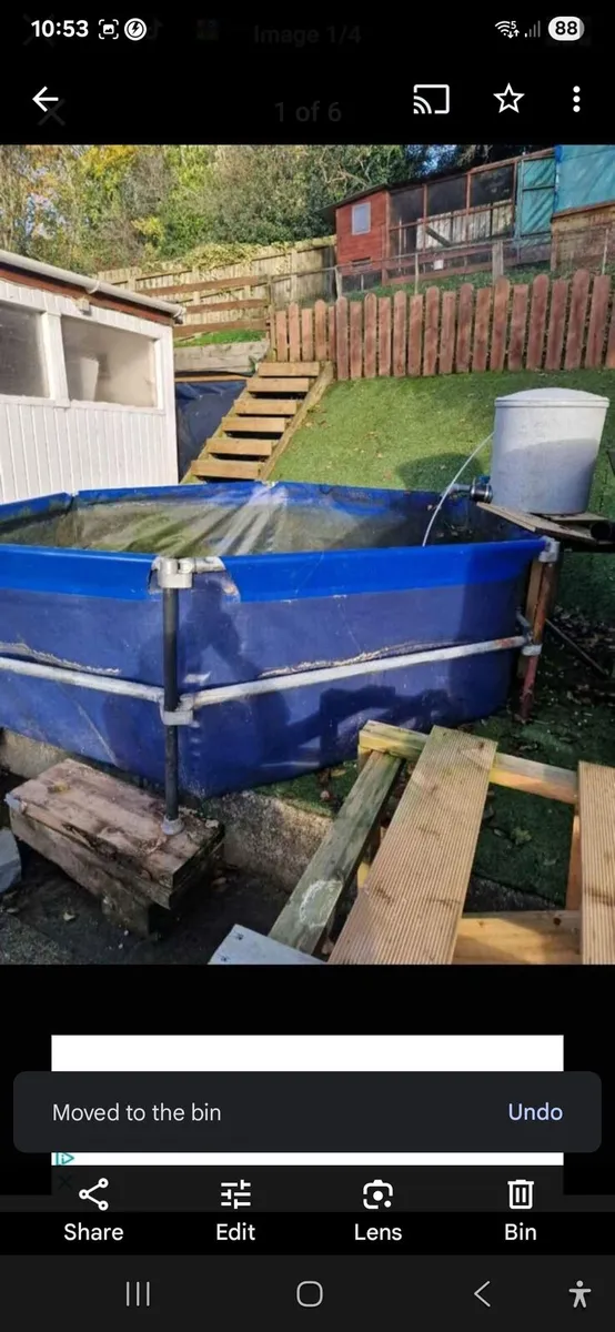 Pond equipment and koi carp - Image 1