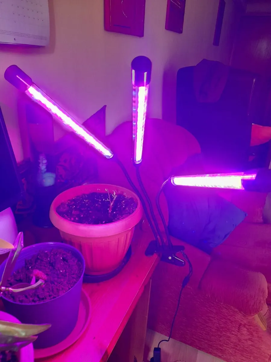 Grow Lights for Indoor Plants - Image 1